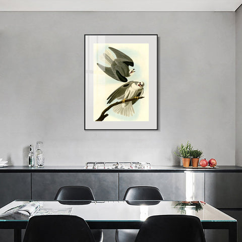 INVIN ART Metal Framed Canvas Giclee Print Black Winged Hawk by John James Audubon Wall Art Living Room Home Office Decorations