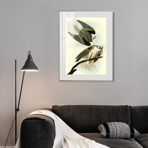INVIN ART Metal Framed Canvas Giclee Print Black Winged Hawk by John James Audubon Wall Art Living Room Home Office Decorations