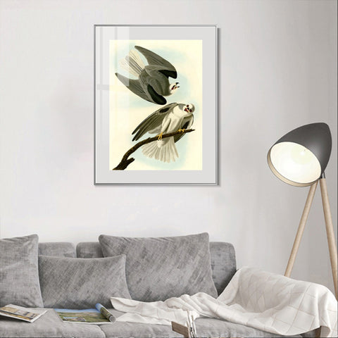INVIN ART Metal Framed Canvas Giclee Print Black Winged Hawk by John James Audubon Wall Art Living Room Home Office Decorations