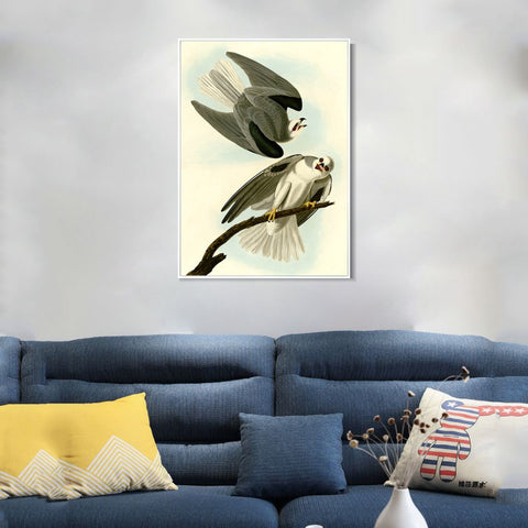 INVIN ART Framed Canvas Giclee Print Black Winged Hawk by John James Audubon Wall Art Living Room Home Office Decorations