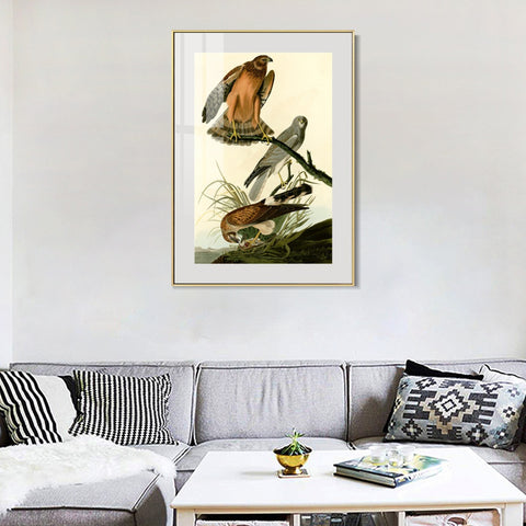 INVIN ART Metal Framed Canvas Giclee Print Marsh Hawk by John James Audubon Wall Art Living Room Home Office Decorations