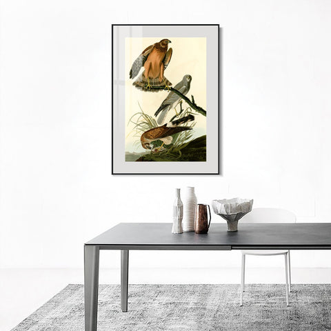 INVIN ART Metal Framed Canvas Giclee Print Marsh Hawk by John James Audubon Wall Art Living Room Home Office Decorations