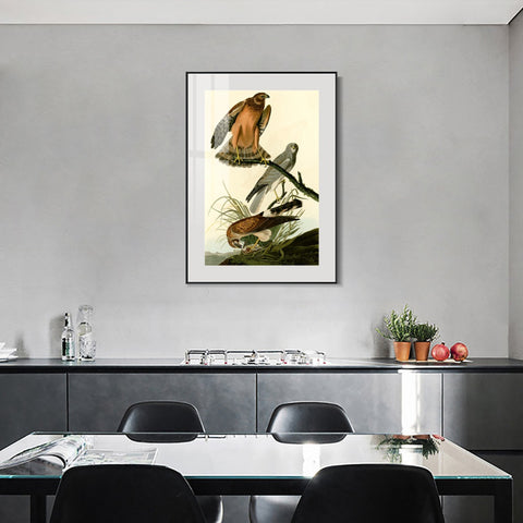 INVIN ART Metal Framed Canvas Giclee Print Marsh Hawk by John James Audubon Wall Art Living Room Home Office Decorations