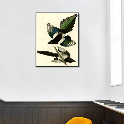 INVIN ART Framed Canvas Giclee Print Series#96 by John James Audubon Wall Art Living Room Home Office Decorations