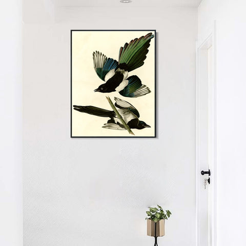 INVIN ART Framed Canvas Giclee Print Series#96 by John James Audubon Wall Art Living Room Home Office Decorations