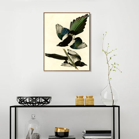 INVIN ART Framed Canvas Giclee Print Series#96 by John James Audubon Wall Art Living Room Home Office Decorations