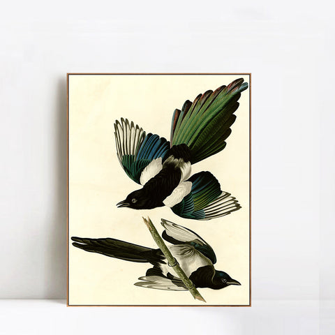 INVIN ART Framed Canvas Giclee Print Series#96 by John James Audubon Wall Art Living Room Home Office Decorations