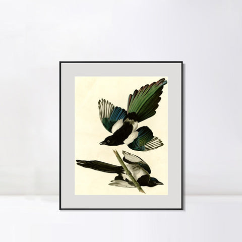 INVIN ART Metal Framed Canvas Giclee Print Series#96 by John James Audubon Wall Art Living Room Home Office Decorations