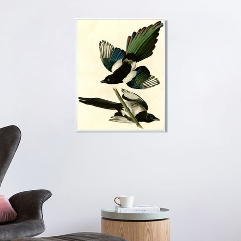 INVIN ART Framed Canvas Giclee Print Series#96 by John James Audubon Wall Art Living Room Home Office Decorations