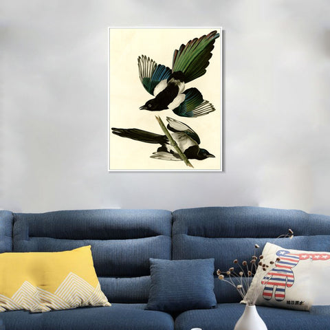 INVIN ART Framed Canvas Giclee Print Series#96 by John James Audubon Wall Art Living Room Home Office Decorations