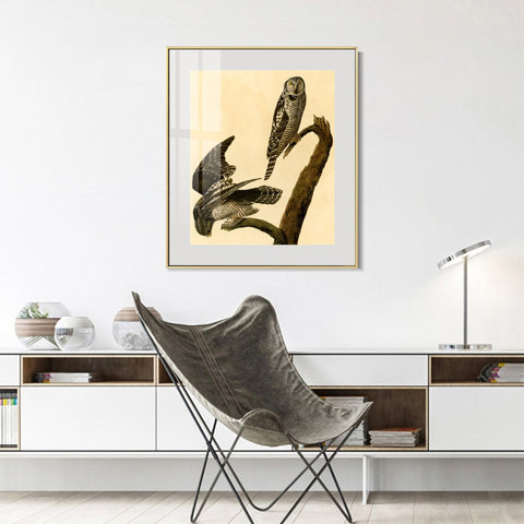 INVIN ART Metal Framed Canvas Giclee Print Hawk Owl by John James Audubon Wall Art Living Room Home Office Decorations