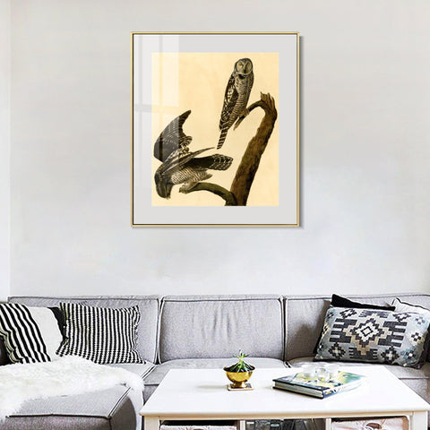 INVIN ART Metal Framed Canvas Giclee Print Hawk Owl by John James Audubon Wall Art Living Room Home Office Decorations