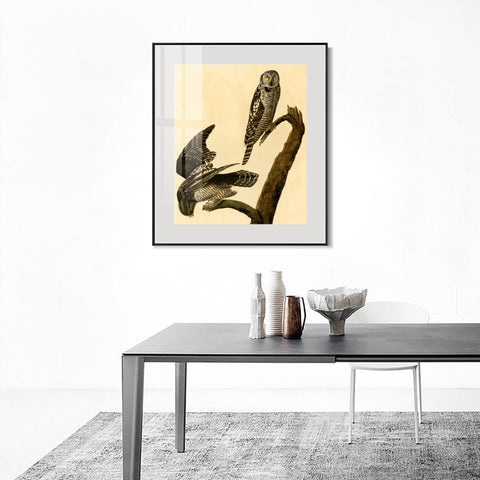 INVIN ART Metal Framed Canvas Giclee Print Hawk Owl by John James Audubon Wall Art Living Room Home Office Decorations