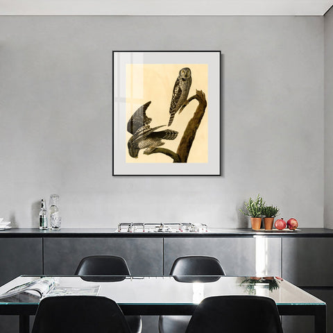 INVIN ART Metal Framed Canvas Giclee Print Hawk Owl by John James Audubon Wall Art Living Room Home Office Decorations