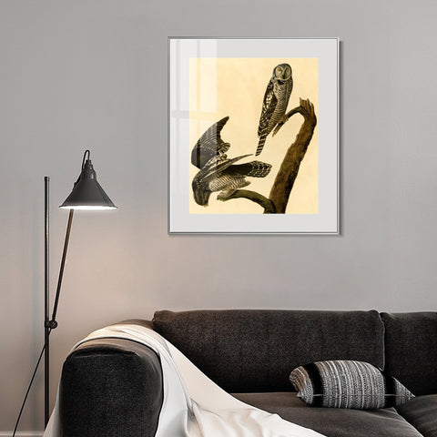 INVIN ART Metal Framed Canvas Giclee Print Hawk Owl by John James Audubon Wall Art Living Room Home Office Decorations