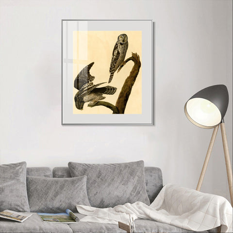 INVIN ART Metal Framed Canvas Giclee Print Hawk Owl by John James Audubon Wall Art Living Room Home Office Decorations