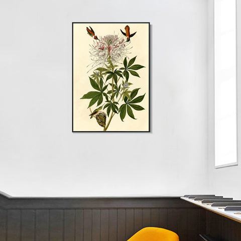 INVIN ART Framed Canvas Giclee Print Ruff necked Humming bird by John James Audubon Wall Art Living Room Home Office Decorations