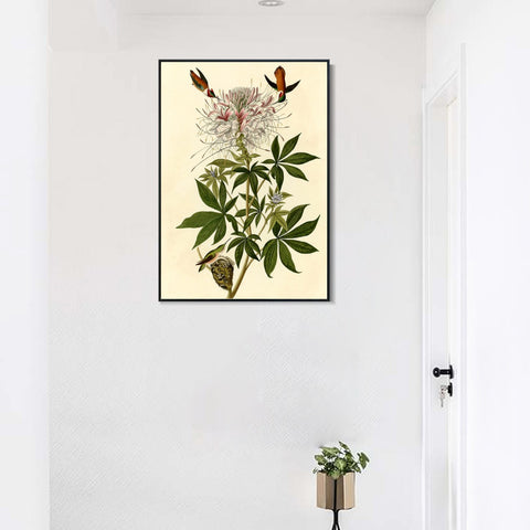 INVIN ART Framed Canvas Giclee Print Ruff necked Humming bird by John James Audubon Wall Art Living Room Home Office Decorations