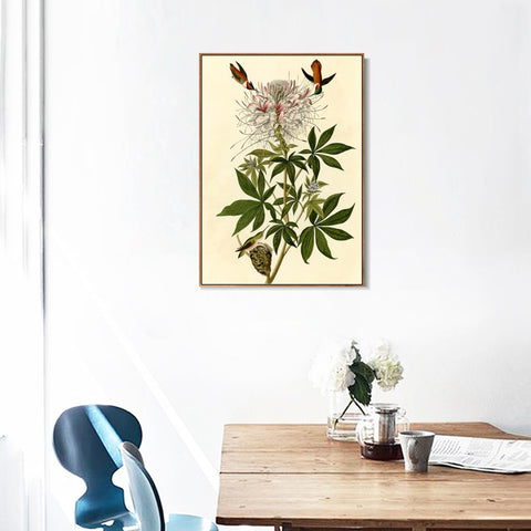 INVIN ART Framed Canvas Giclee Print Ruff necked Humming bird by John James Audubon Wall Art Living Room Home Office Decorations