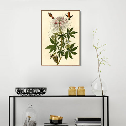 INVIN ART Framed Canvas Giclee Print Ruff necked Humming bird by John James Audubon Wall Art Living Room Home Office Decorations