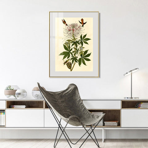 INVIN ART Metal Framed Canvas Giclee Print Ruff necked Humming bird by John James Audubon Wall Art Living Room Home Office Decorations