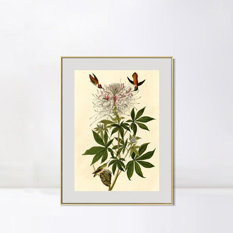 INVIN ART Metal Framed Canvas Giclee Print Ruff necked Humming bird by John James Audubon Wall Art Living Room Home Office Decorations