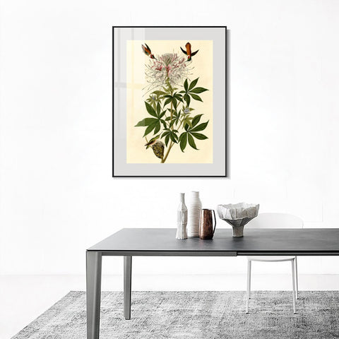 INVIN ART Metal Framed Canvas Giclee Print Ruff necked Humming bird by John James Audubon Wall Art Living Room Home Office Decorations