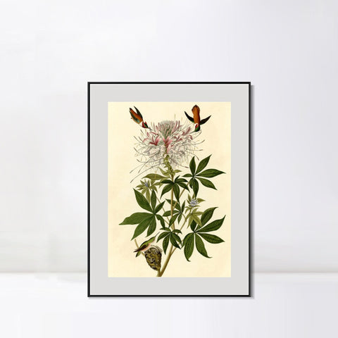 INVIN ART Metal Framed Canvas Giclee Print Ruff necked Humming bird by John James Audubon Wall Art Living Room Home Office Decorations