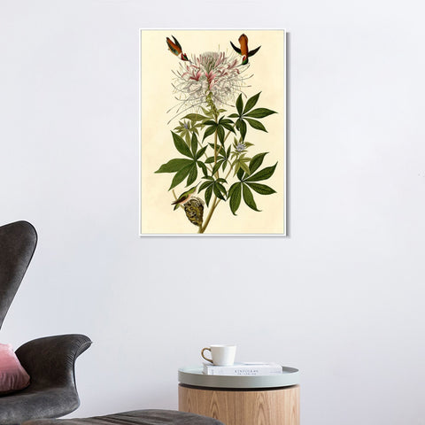 INVIN ART Framed Canvas Giclee Print Ruff necked Humming bird by John James Audubon Wall Art Living Room Home Office Decorations