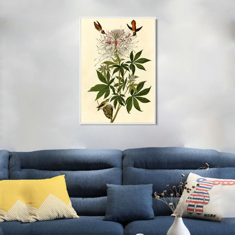 INVIN ART Framed Canvas Giclee Print Ruff necked Humming bird by John James Audubon Wall Art Living Room Home Office Decorations