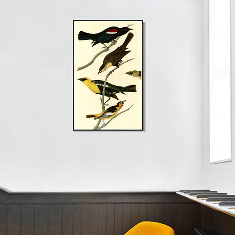 INVIN ART Framed Canvas Giclee Print Yellow headed Troopial by John James Audubon Wall Art Living Room Home Office Decorations