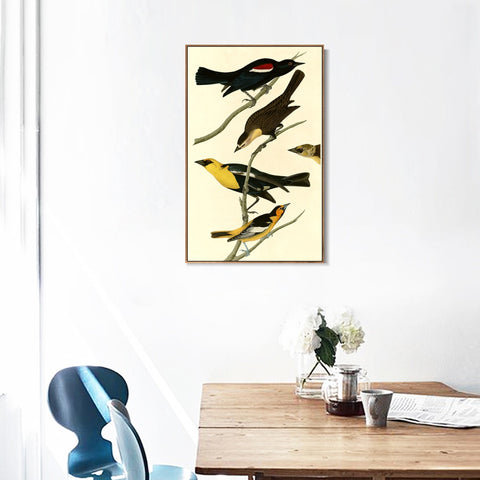 INVIN ART Framed Canvas Giclee Print Yellow headed Troopial by John James Audubon Wall Art Living Room Home Office Decorations