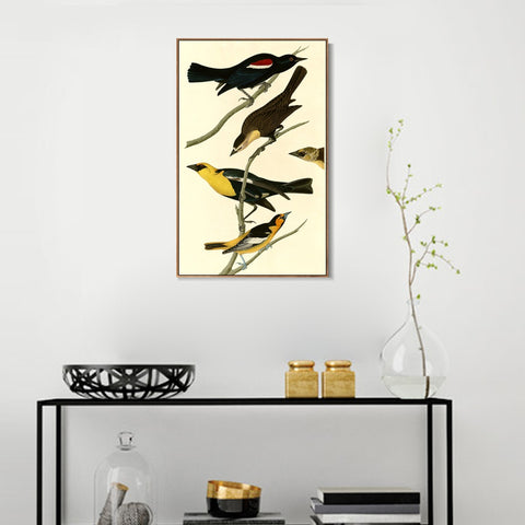 INVIN ART Framed Canvas Giclee Print Yellow headed Troopial by John James Audubon Wall Art Living Room Home Office Decorations