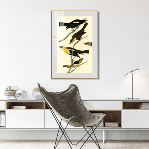 INVIN ART Metal Framed Canvas Giclee Print Yellow headed Troopial by John James Audubon Wall Art Living Room Home Office Decorations