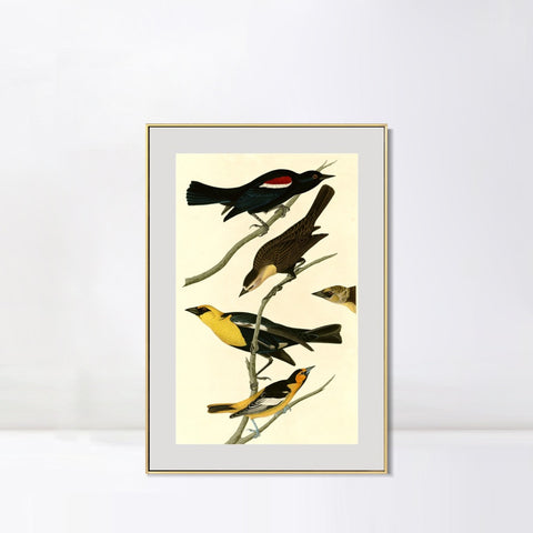 INVIN ART Metal Framed Canvas Giclee Print Yellow headed Troopial by John James Audubon Wall Art Living Room Home Office Decorations