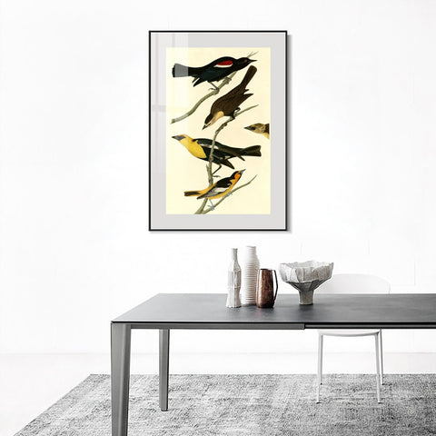 INVIN ART Metal Framed Canvas Giclee Print Yellow headed Troopial by John James Audubon Wall Art Living Room Home Office Decorations