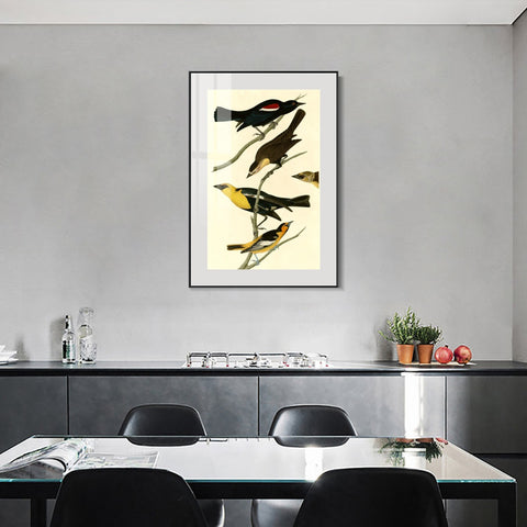 INVIN ART Metal Framed Canvas Giclee Print Yellow headed Troopial by John James Audubon Wall Art Living Room Home Office Decorations