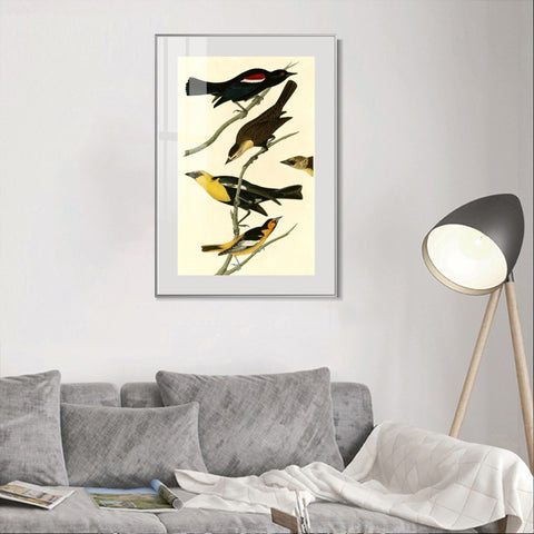 INVIN ART Metal Framed Canvas Giclee Print Yellow headed Troopial by John James Audubon Wall Art Living Room Home Office Decorations
