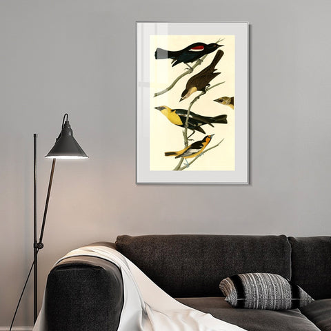 INVIN ART Metal Framed Canvas Giclee Print Yellow headed Troopial by John James Audubon Wall Art Living Room Home Office Decorations