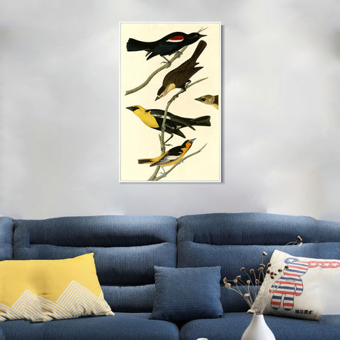 INVIN ART Framed Canvas Giclee Print Yellow headed Troopial by John James Audubon Wall Art Living Room Home Office Decorations