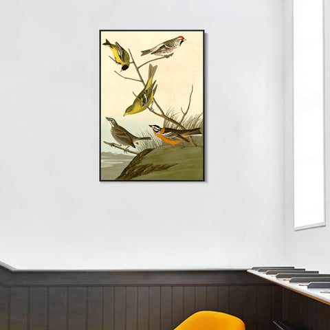 INVIN ART Framed Canvas Giclee Print  Mealy Red poll by John James Audubon Wall Art Living Room Home Office Decorations