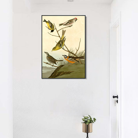 INVIN ART Framed Canvas Giclee Print  Mealy Red poll by John James Audubon Wall Art Living Room Home Office Decorations