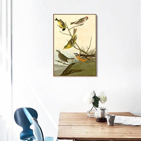 INVIN ART Framed Canvas Giclee Print  Mealy Red poll by John James Audubon Wall Art Living Room Home Office Decorations