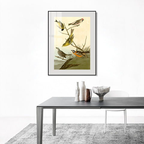 INVIN ART Metal Framed Canvas Giclee Print  Mealy Red poll by John James Audubon Wall Art Living Room Home Office Decorations