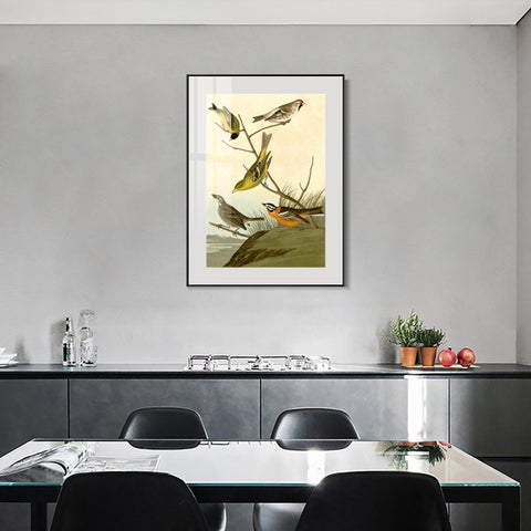 INVIN ART Metal Framed Canvas Giclee Print  Mealy Red poll by John James Audubon Wall Art Living Room Home Office Decorations