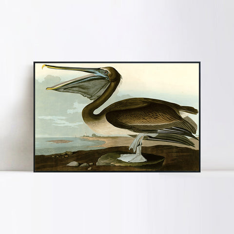 INVIN ART Framed Canvas Giclee Print Series#101 by John James Audubon Wall Art Living Room Home Office Decorations