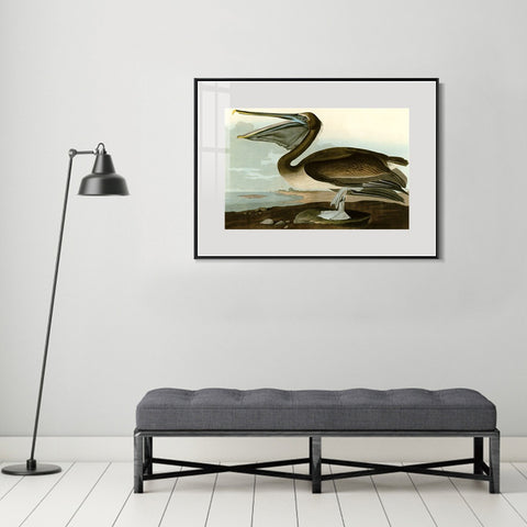 INVIN ART Metal Framed Canvas Giclee Print Series#101 by John James Audubon Wall Art Living Room Home Office Decorations