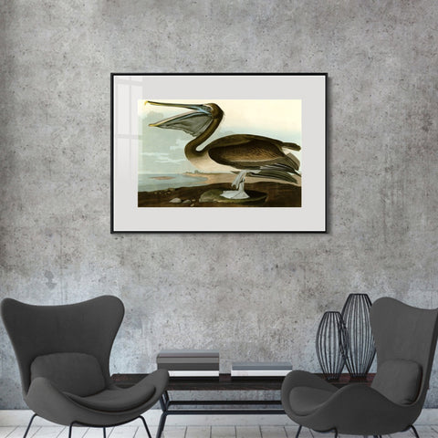 INVIN ART Metal Framed Canvas Giclee Print Series#101 by John James Audubon Wall Art Living Room Home Office Decorations