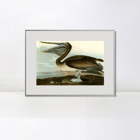 INVIN ART Metal Framed Canvas Giclee Print Series#101 by John James Audubon Wall Art Living Room Home Office Decorations