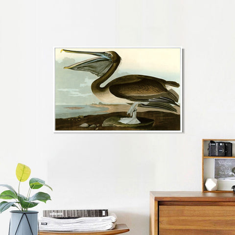 INVIN ART Framed Canvas Giclee Print Series#101 by John James Audubon Wall Art Living Room Home Office Decorations